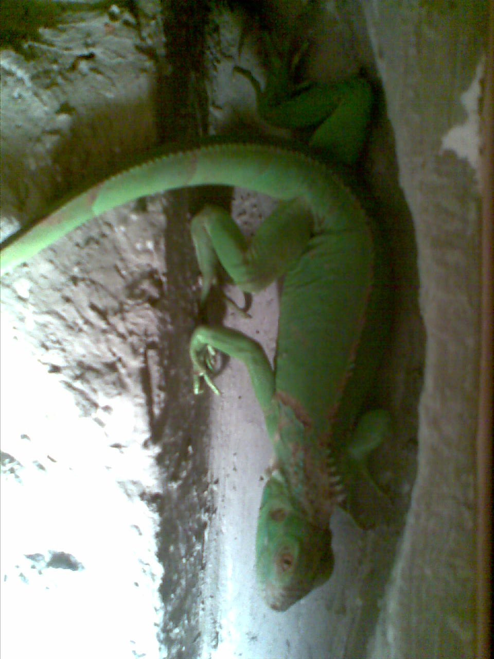 obraz056