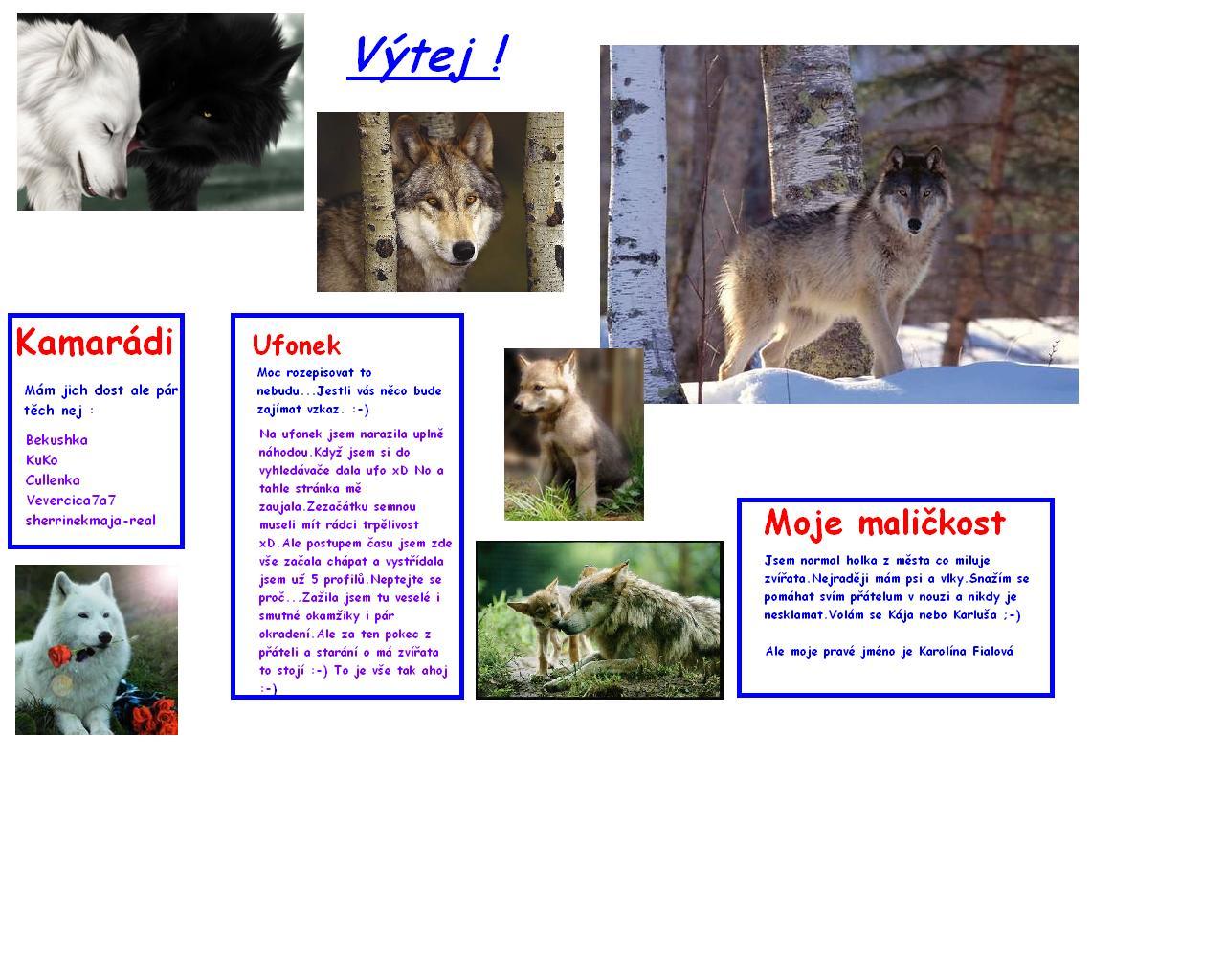 Výtej