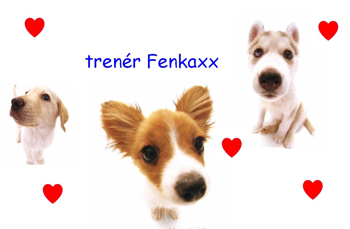 Já trenér